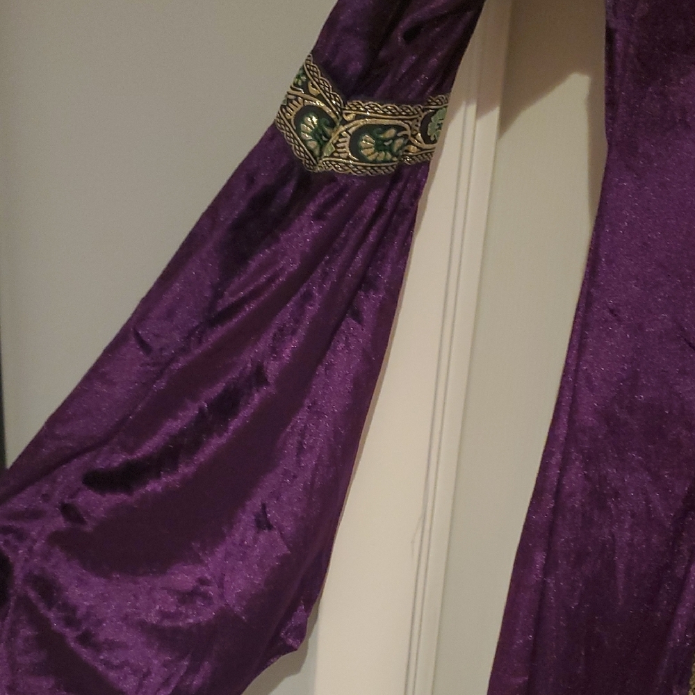 NWOT Renaissance Costume - Picture 4 of 11